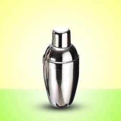Stainless Steel Shaker 350cc