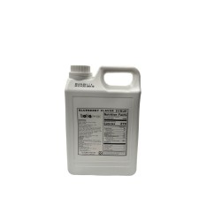Blueberry Concentrated Juice - 2.5 kg bottle Exp.18-8-25